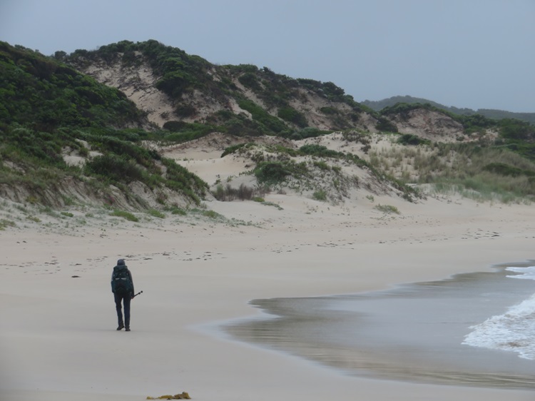 The Bibbulmun Track, Western Australia