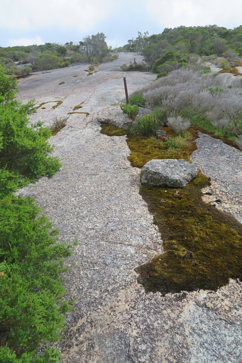 Views on the Bibbulmun Track