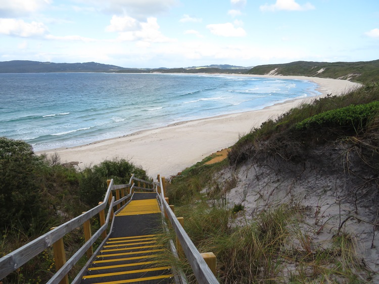Views on the Bibbulmun Track