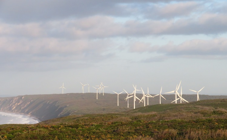 Wind Turbines on the Bibbulmun Track near Albany