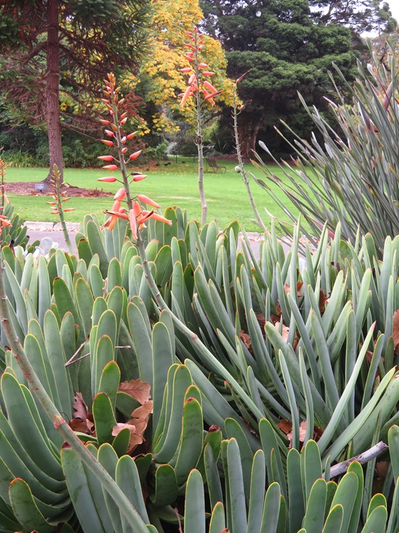 Royal Botanic Gardens Melbourne