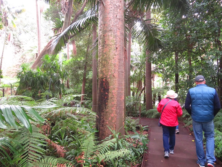 Royal Botanic Gardens Melbourne