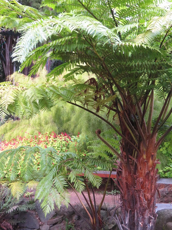 Royal Botanic Gardens Melbourne