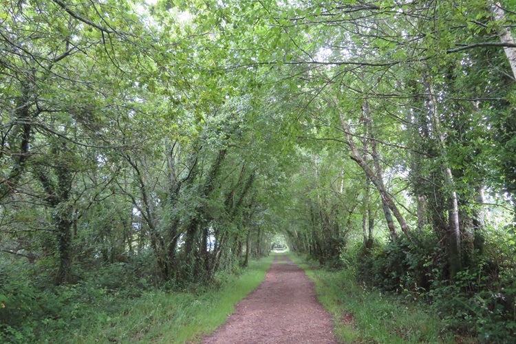 Beautiful views on the Camino Primitivo, Spain
