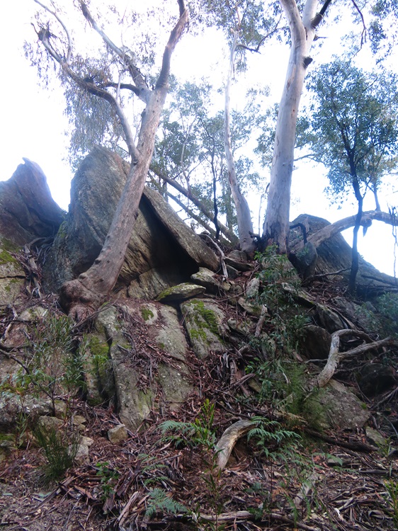 Mugii Murum-ban State Conservation Area
