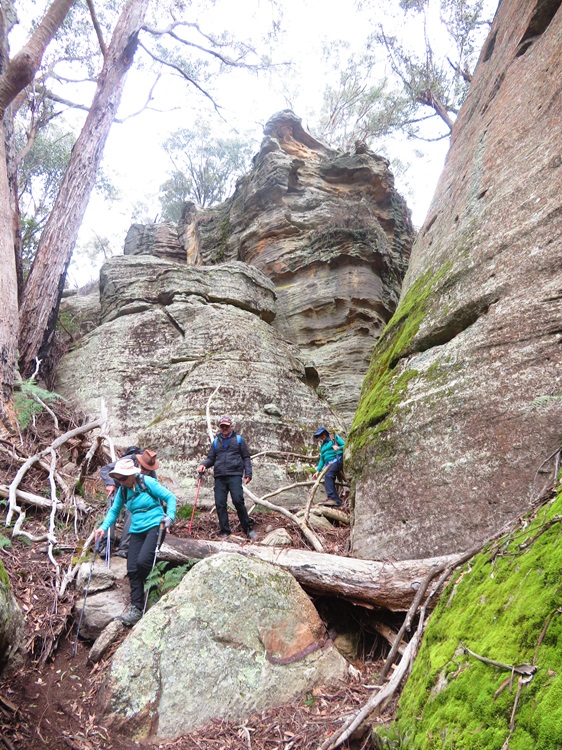 Mugii Murum-ban State Conservation Area