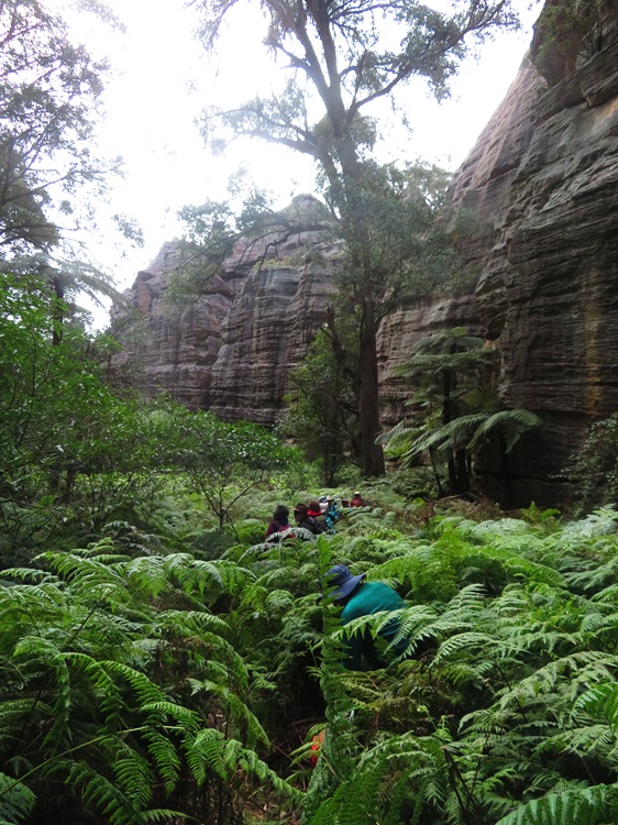 Mugii Murum-ban State Conservation Area