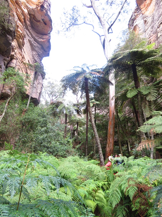 Mugii Murum-ban State Conservation Area