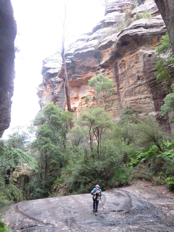 Mugii Murum-ban State Conservation Area