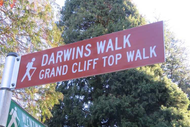 Darwins Walk - Wentworth Falls