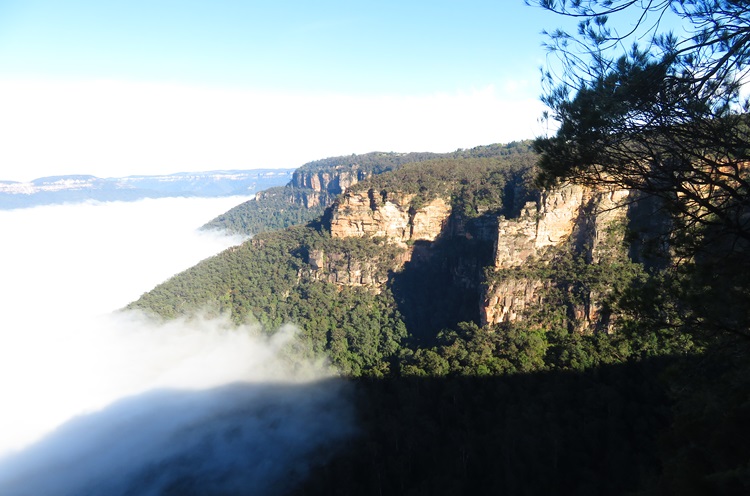 Fog over the valley on the Grand Cliff Top Walk, Blue Mountains