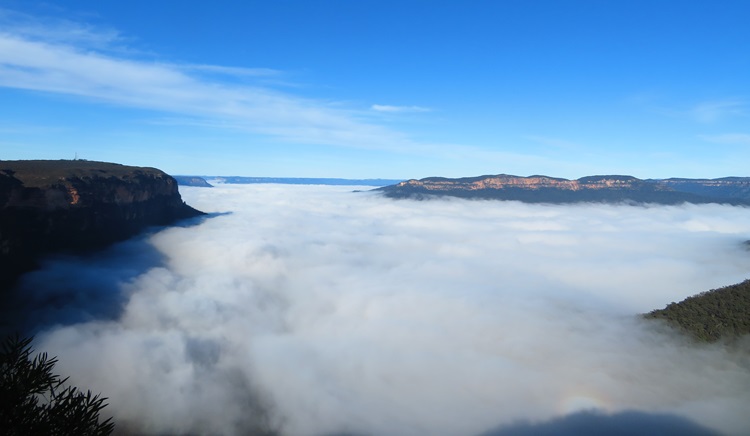Fog over the valley on the Grand Cliff Top Walk, Blue Mountains