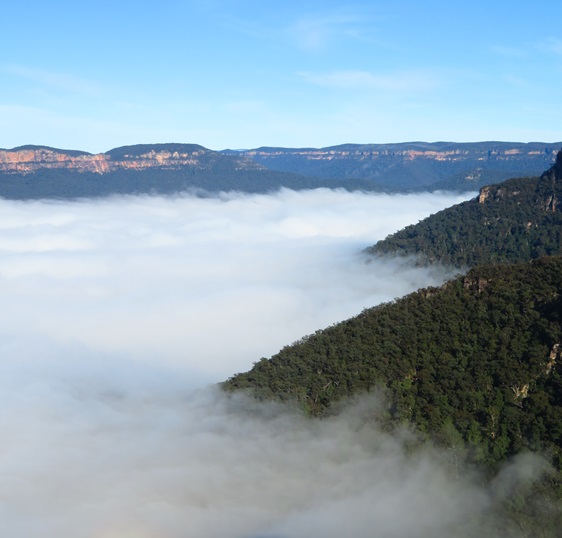 Fog over the valley on the Grand Cliff Top Walk, Blue Mountains