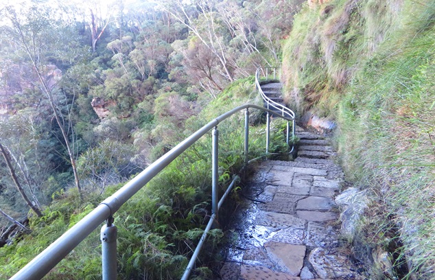 Well made paths on the Grand Cliff Top Walk, Blue Mountains