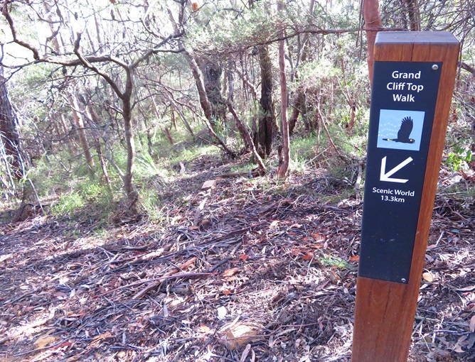 Follow the black cockatoo on the Grand Cliff Top Walk, Blue Mountains