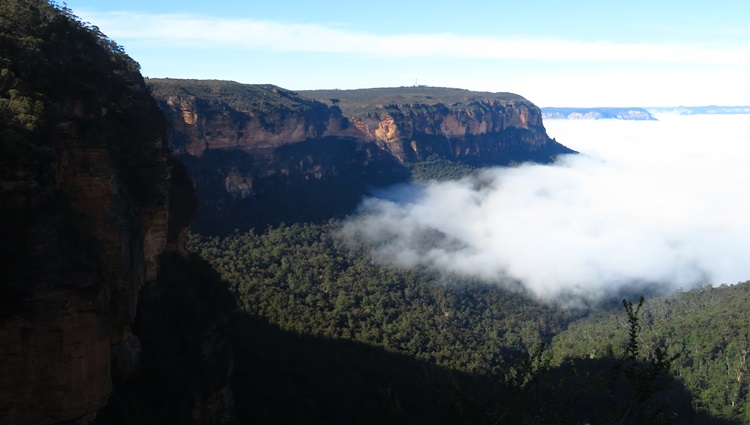 Fog over the valley on the Grand Cliff Top Walk, Blue Mountains