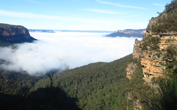 Foggy valleys on the Grand Cliff Top Walk, Blue Mountains