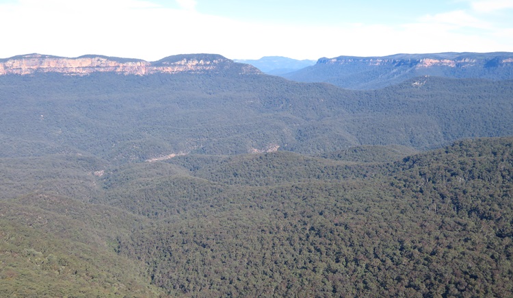 Blue skies and blue valleys on the Grand Cliff Top Walk, Blue Mountains