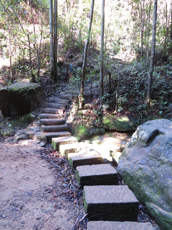 Pool of Siloam on the Grand Cliff Top Walk, Blue Mountains