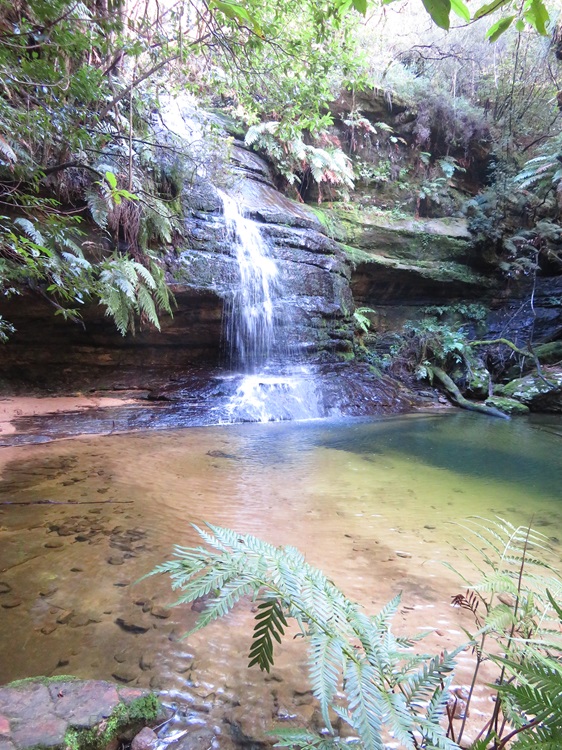 Pool of Siloam on the Grand Cliff Top Walk, Blue Mountains