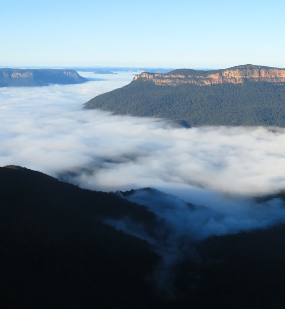 Fog lays heavy over the valley, Blue Mountains, NSW