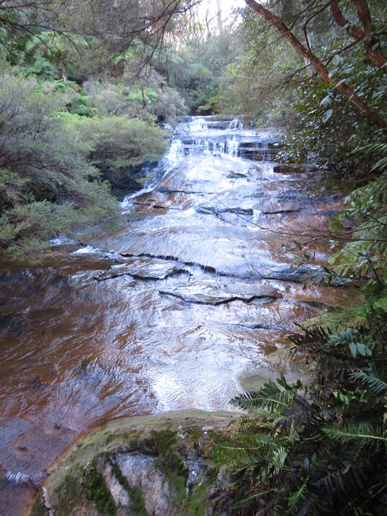Leura Cascades on the Grand Cliff Top Walk.