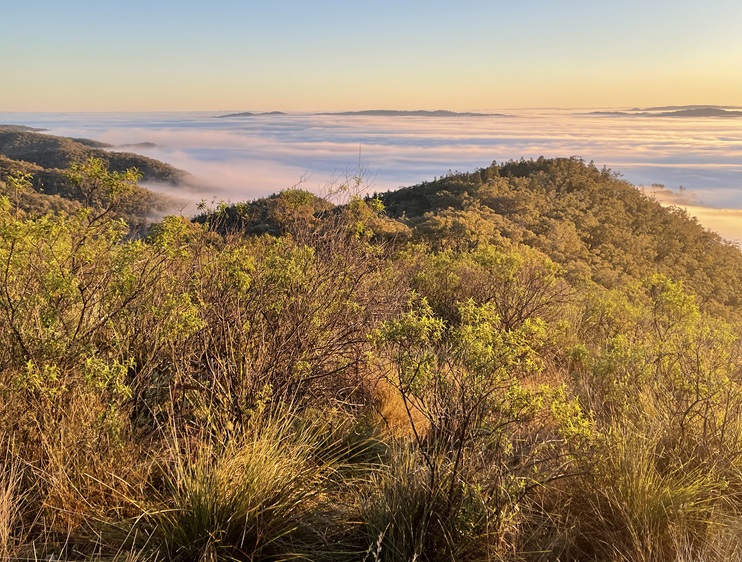 Views from Mt Misery and sunrise over Mudgee