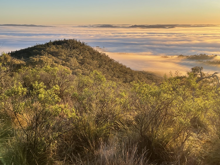 Views from Mt Misery and sunrise over Mudgee