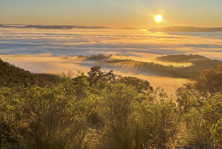 Views from Mt Misery and sunrise over Mudgee