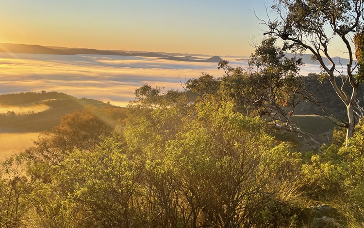 Sunrise over Mudgee - views from Mt Misery