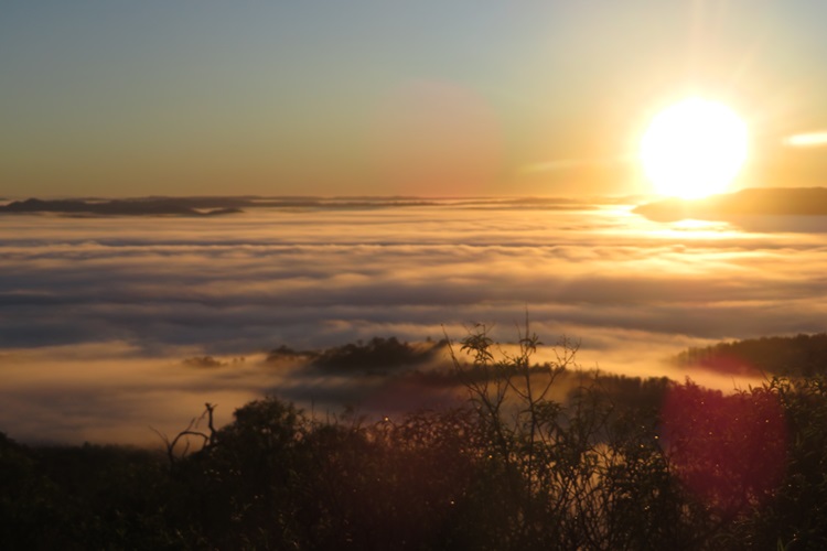 Blanket of fog laying over the Mudgee valley