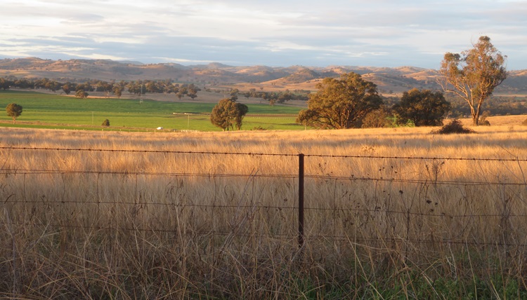 Early morning views Central West Cycle Trail, NSW