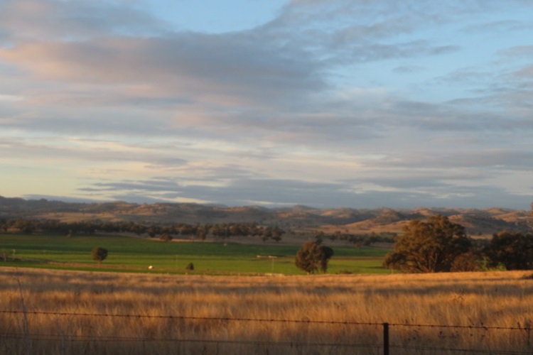 Early morning views Central West Cycle Trail, NSW