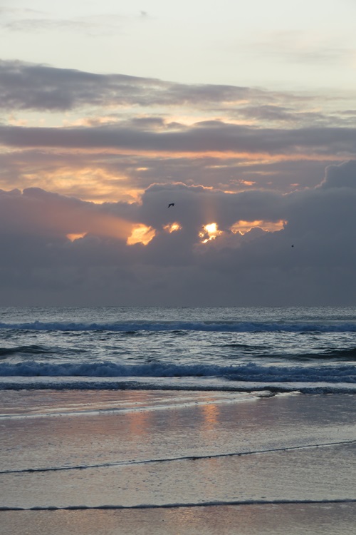 Sunrise walk on the Gold Coast, Queensland