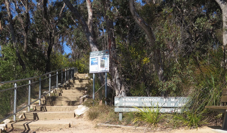 Views of sandstone escarpments from the Cliff Top Walking Track, Blackheath