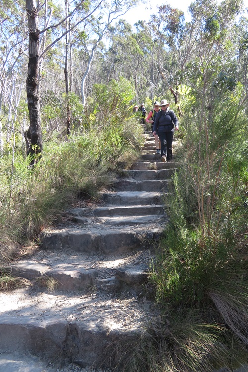 Some of the stairs on the Cliff Top Walk, Blackheath