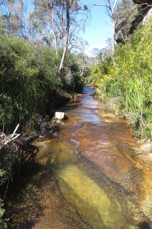 A babbling brook on the Cliff Top Walk, Blackheath