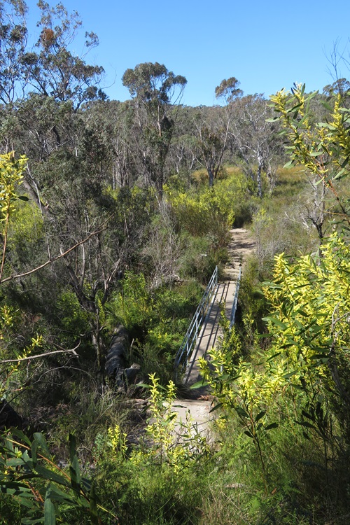 Heading back to Govetts Leap