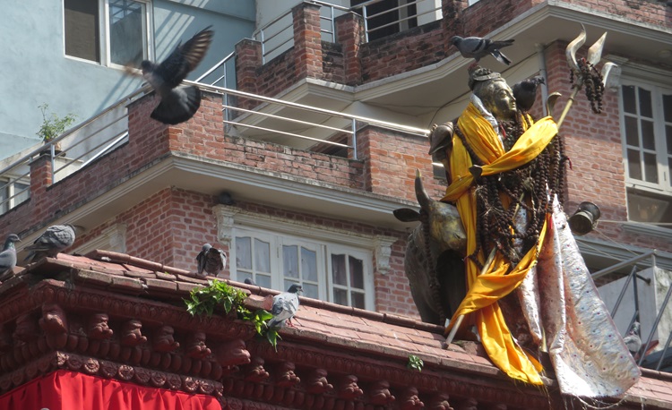 Pigeons and icons in Kathmandu