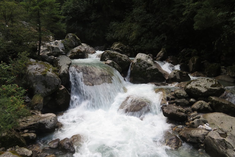 A mountain creek in the Himalayas