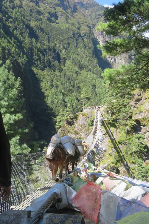Peak hour traffic on the suspension bridge