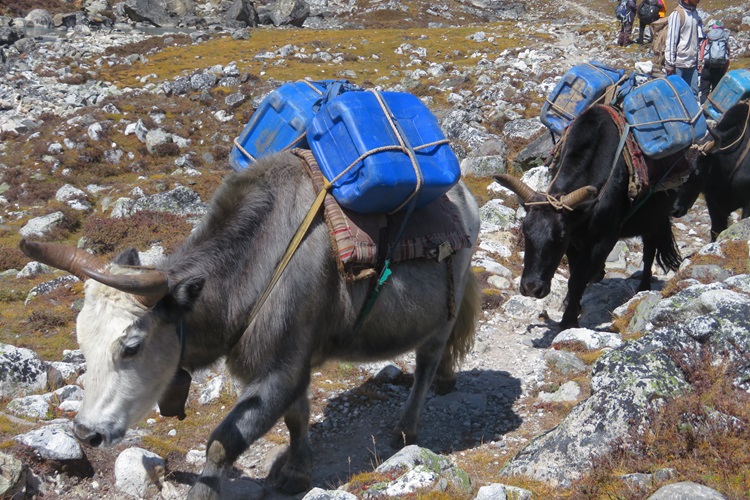 Gokyo Lakes in the Himalayas