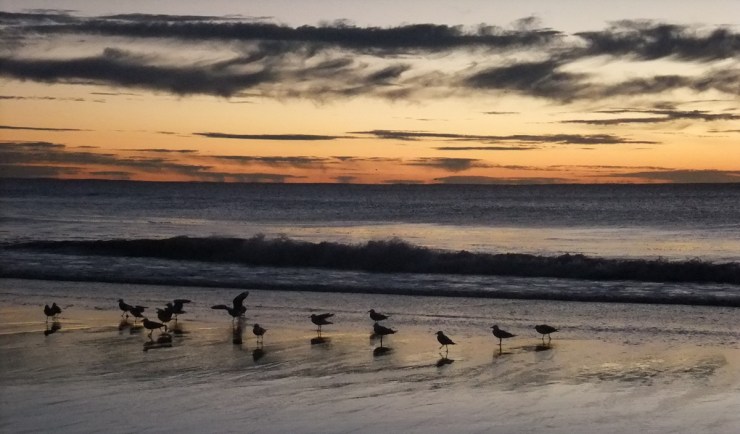 Happy days ahead. Sunrise over the beach at Tuncurry.
