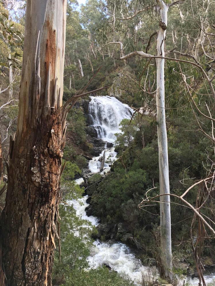 Buddong Falls. Source: Hume & Hovell Track