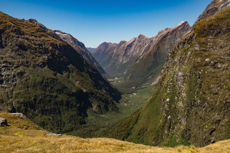Clinton Valley, Milford Track New Zealand