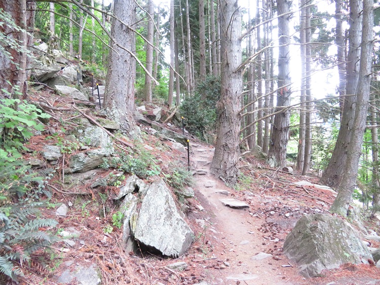 The Tiki Trail, Queenstown New Zealand