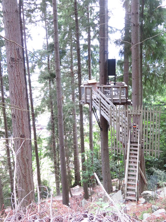 The Tiki Trail, Queenstown New Zealand