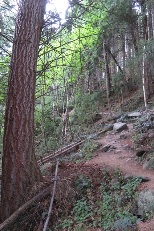 The Tiki Trail, Queenstown New Zealand
