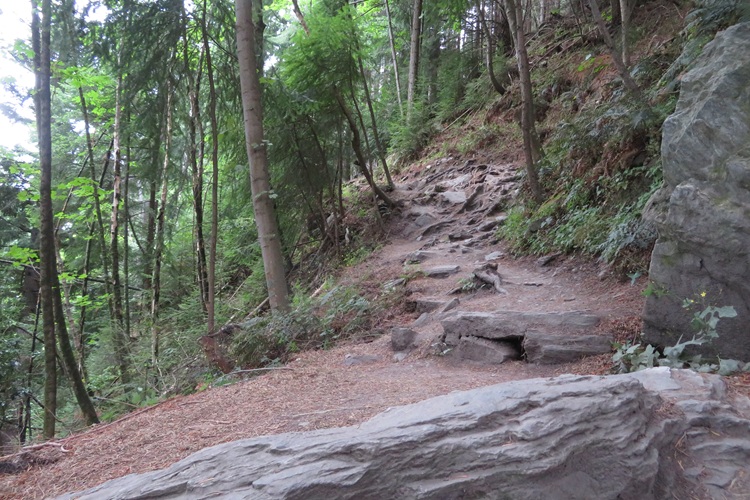 The Tiki Trail, Queenstown New Zealand