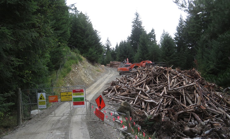 The Tiki Trail, Queenstown New Zealand